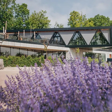 Luxury With Roof Terrace In Holiday home *